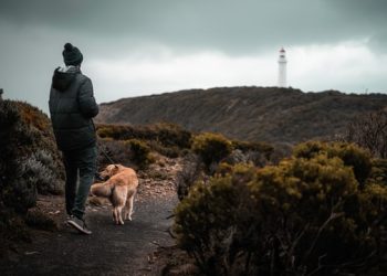 By the Numbers: Tourism Trouble