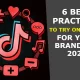 6 Best Practices To Try On TikTok For Your Brands In 2023