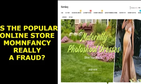 Is the popular online store Momnfancy really a fraud?