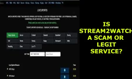 Is Stream2Watch a Scam or Legit Service?