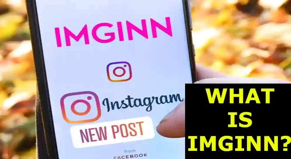What Is Imginn?