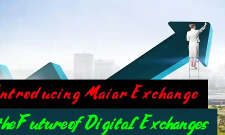 Introducing Maiar Exchange – the Future of Digital Exchanges