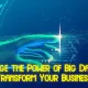 Leverage the Power of Big Data to Transform Your Business
