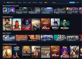 Hotstar has set up itself as a main streaming platform, catering to the enjoyment needs of thousands and thousands of users global. With its sizeable content library